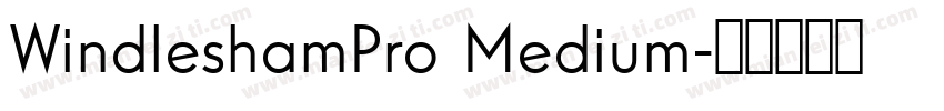 WindleshamPro Medium字体转换